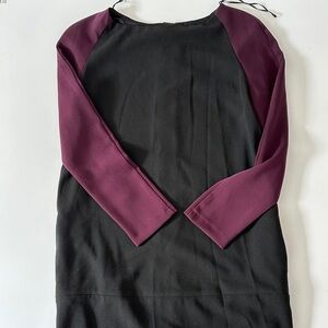 ZARA Basic Long Sleeve Black and Burgundy Dress